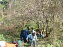 Segunda Caminata por el arroyo Saladillo